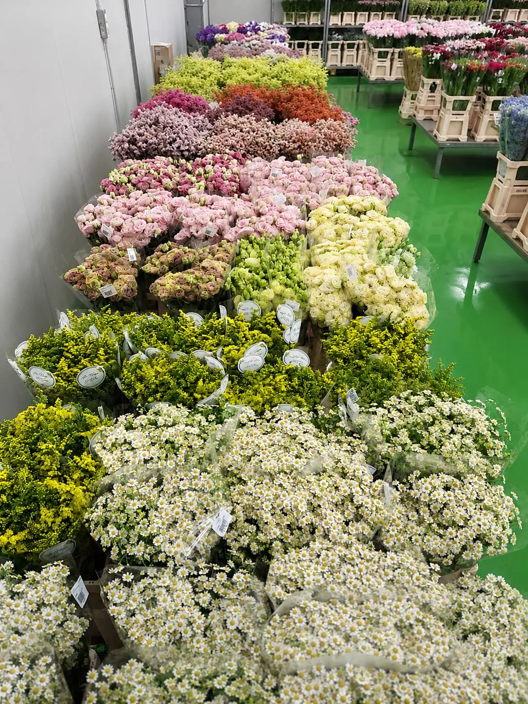 Fiori freschi pronti per la preparazione degli ordini