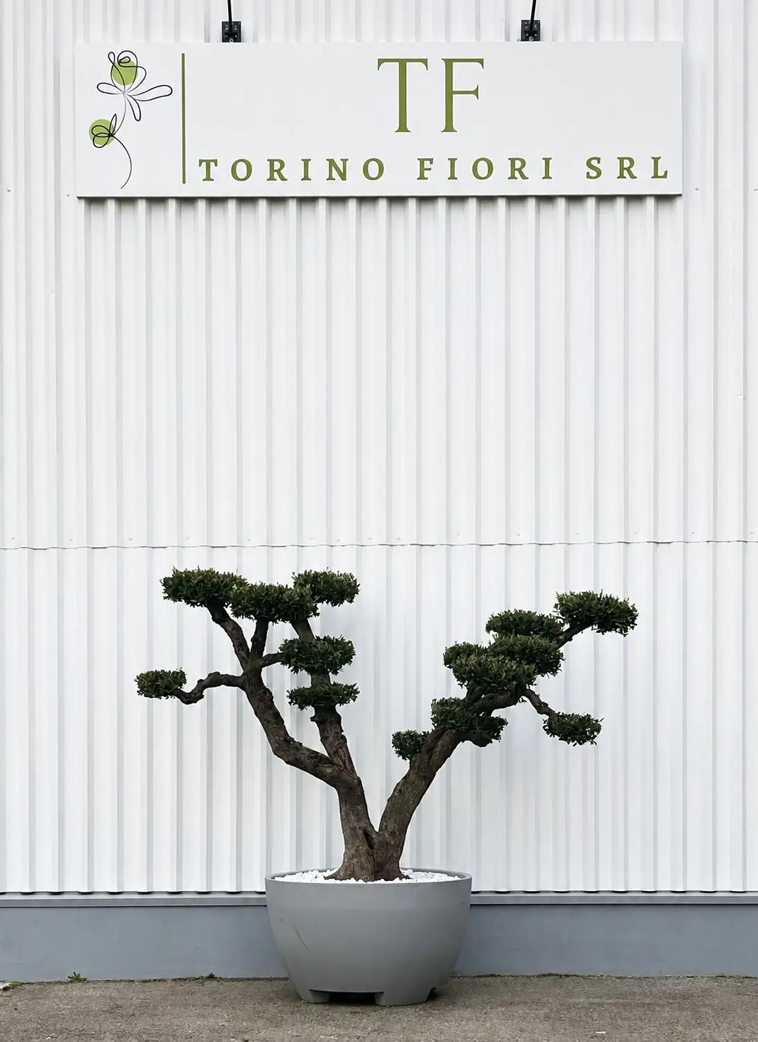 Insegna esterna Torino Fiori a Rivoli