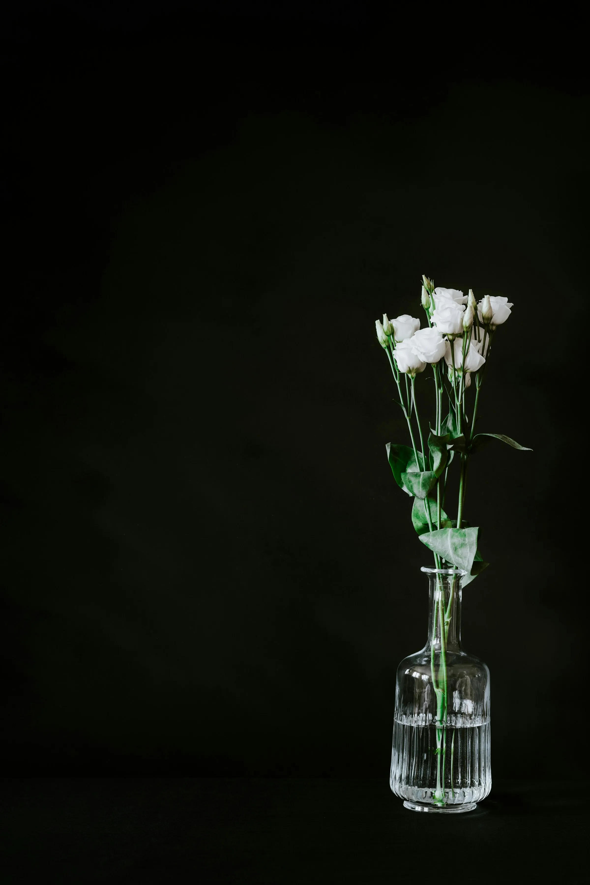 Rose bianche in vaso di vetro su fondo scuro