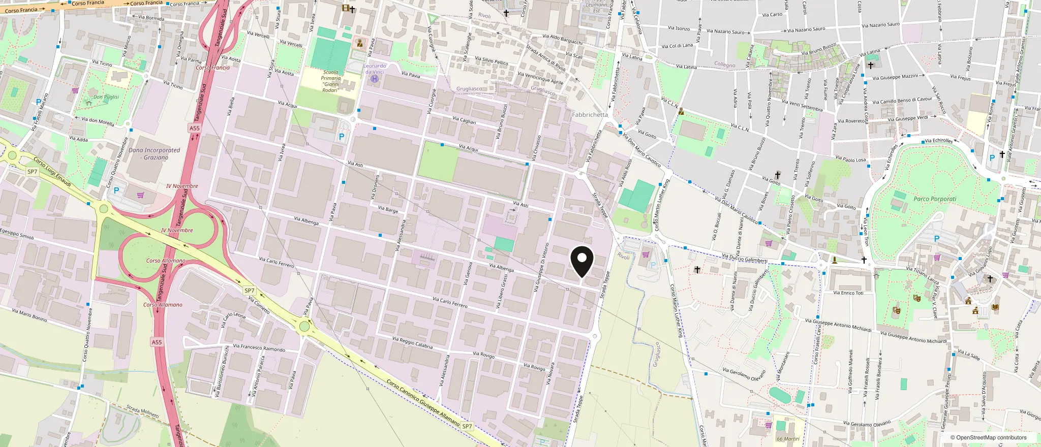 Mappa della zona di Via Albenga 9/B a Rivoli con la sede Torino Fiori evidenziata